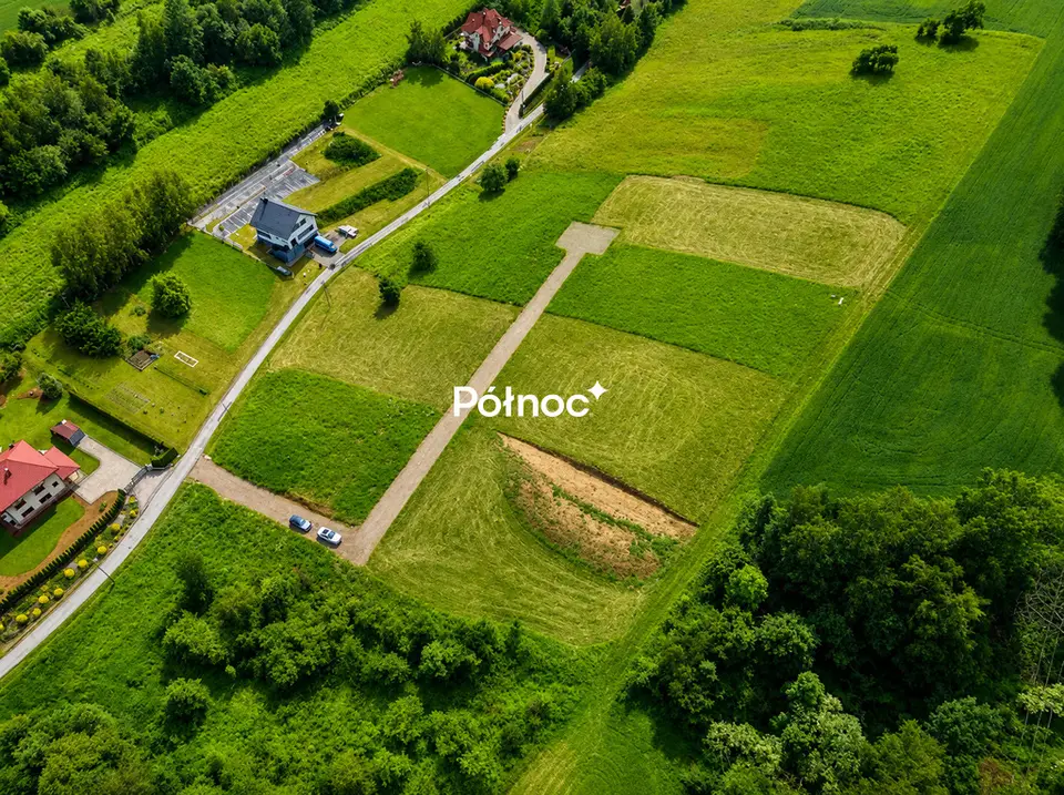 Zdjęcie 6