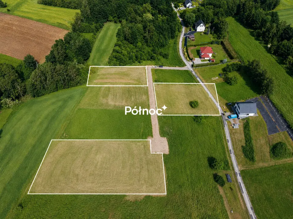 Zdjęcie 7
