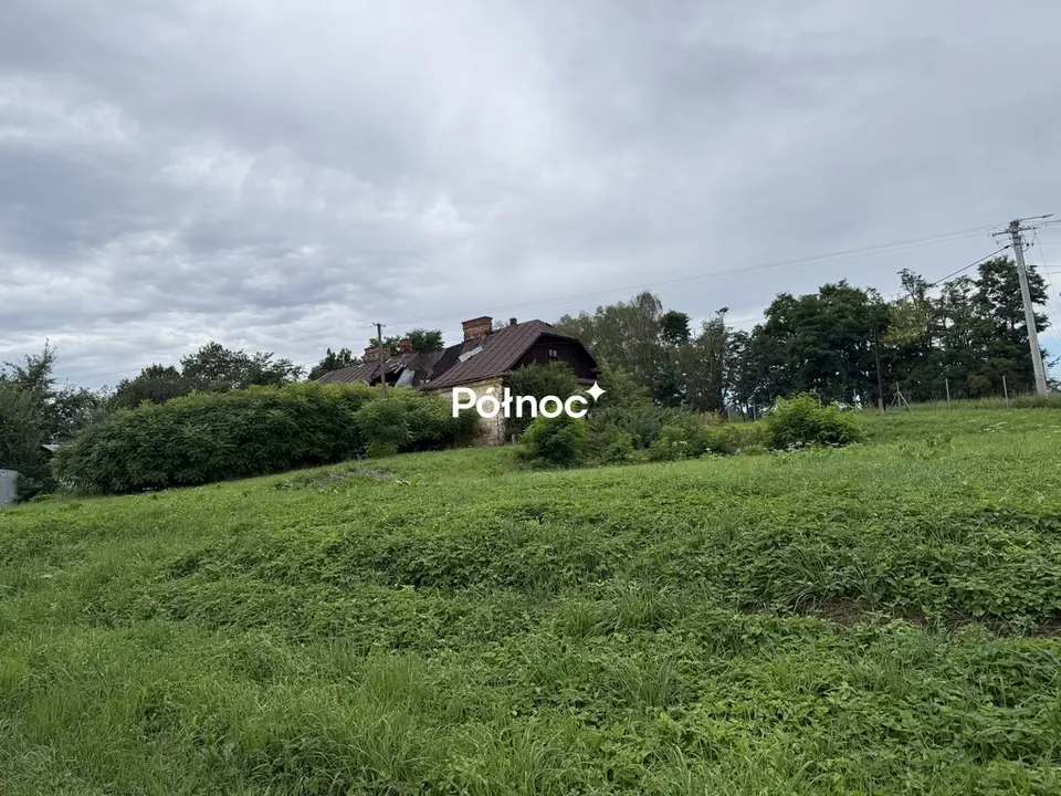 Zdjęcie 2