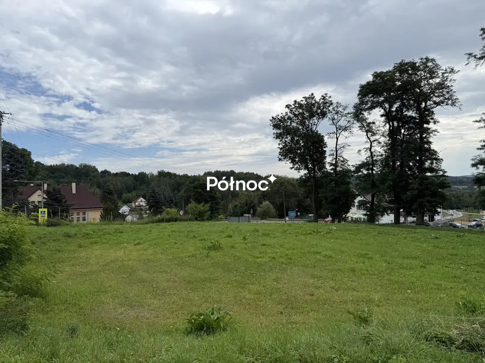 Zdjęcie 3