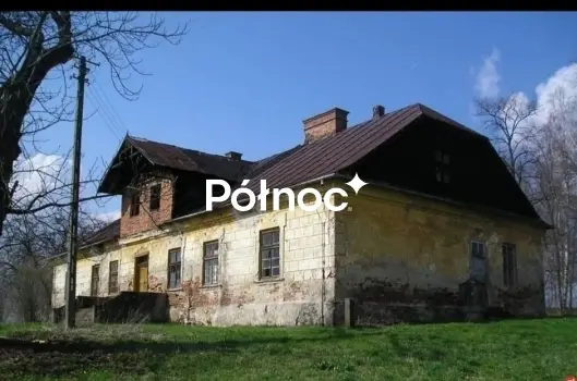 Zdjęcie 6