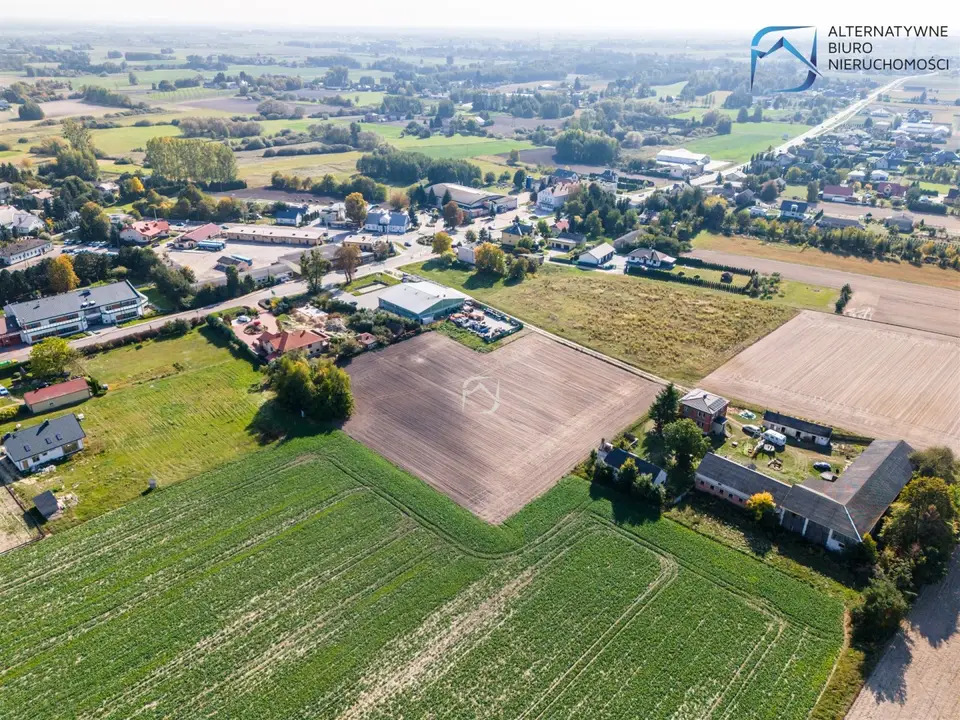 Zdjęcie 10