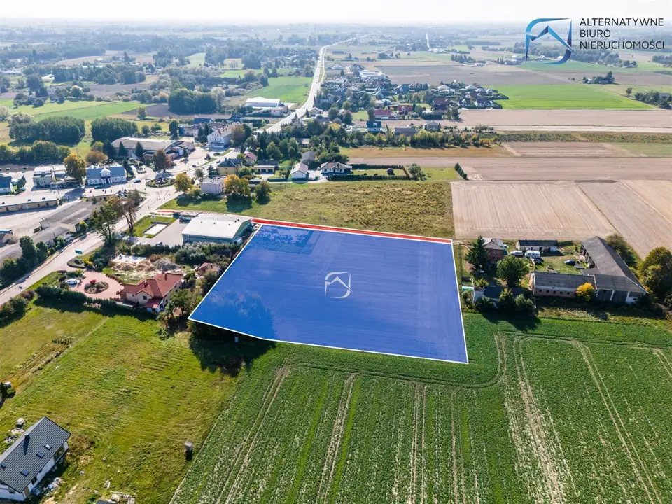 Zdjęcie 11