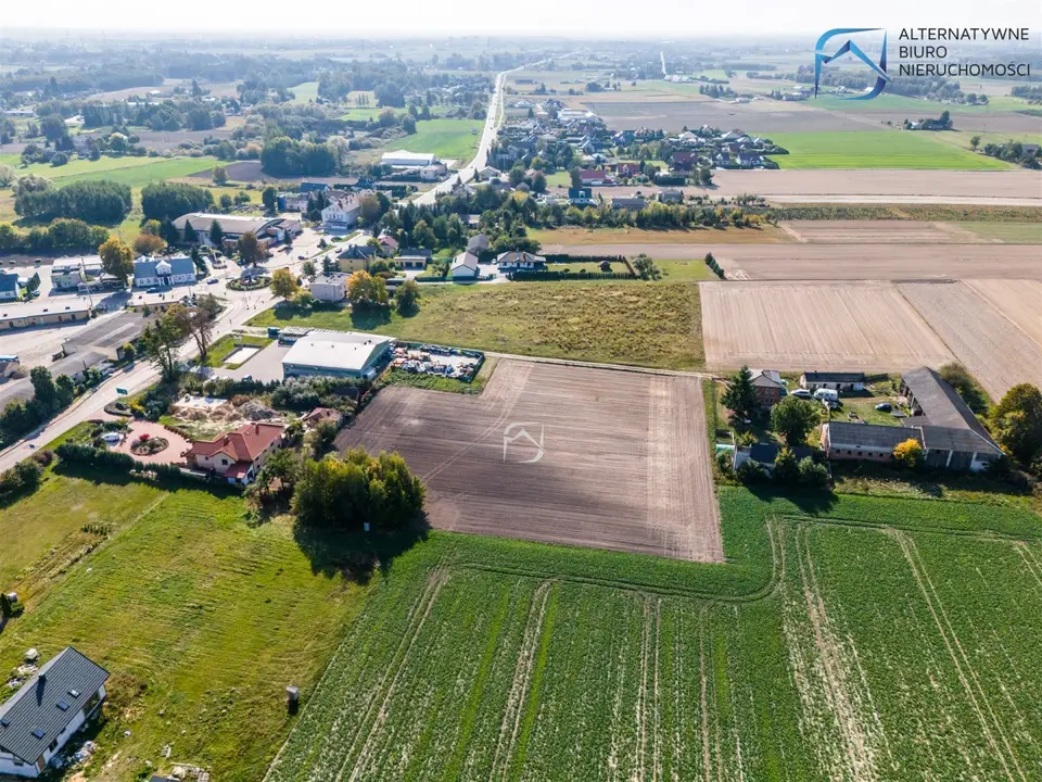 Zdjęcie 12