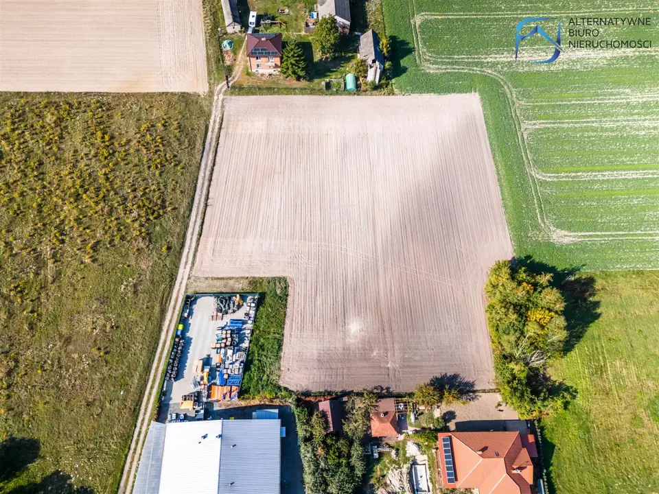 Zdjęcie 16