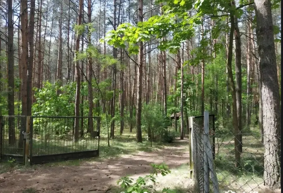 Działka rekreacyjna 960 m², Drożdżówka
