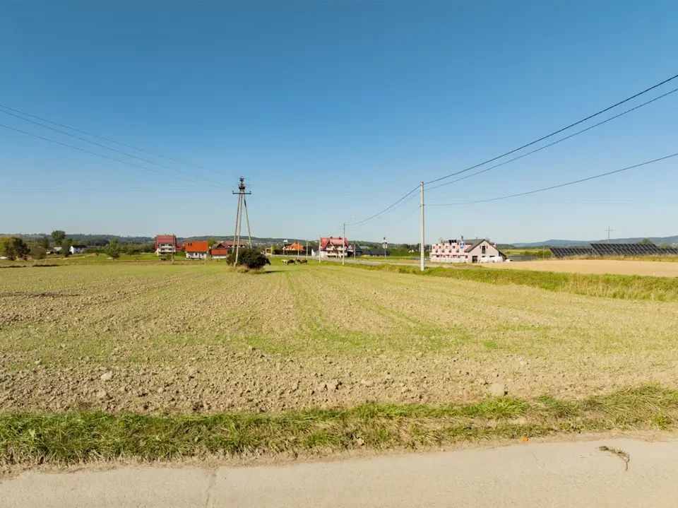 Zdjęcie 15