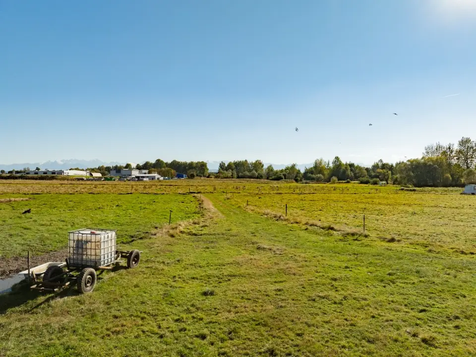 Zdjęcie 10