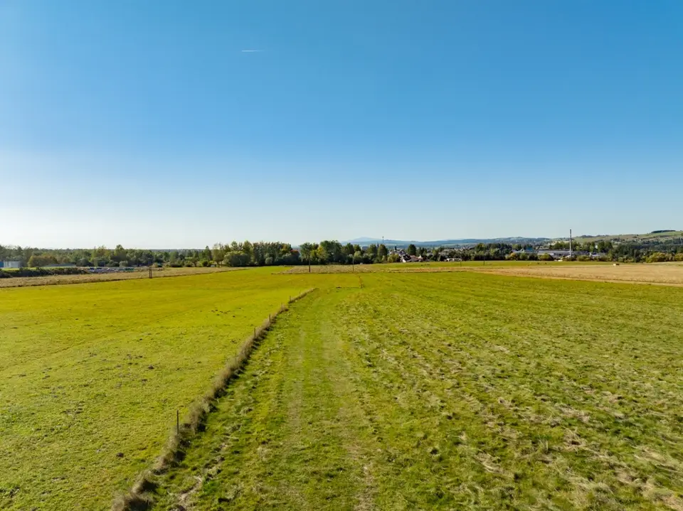 Zdjęcie 28