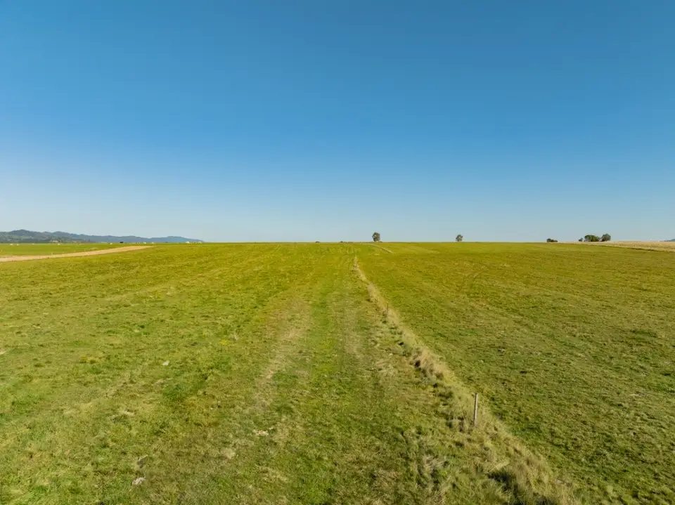 Zdjęcie 31