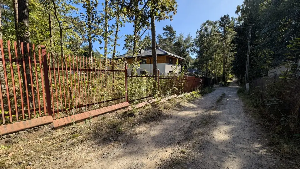 Zdjęcie 11
