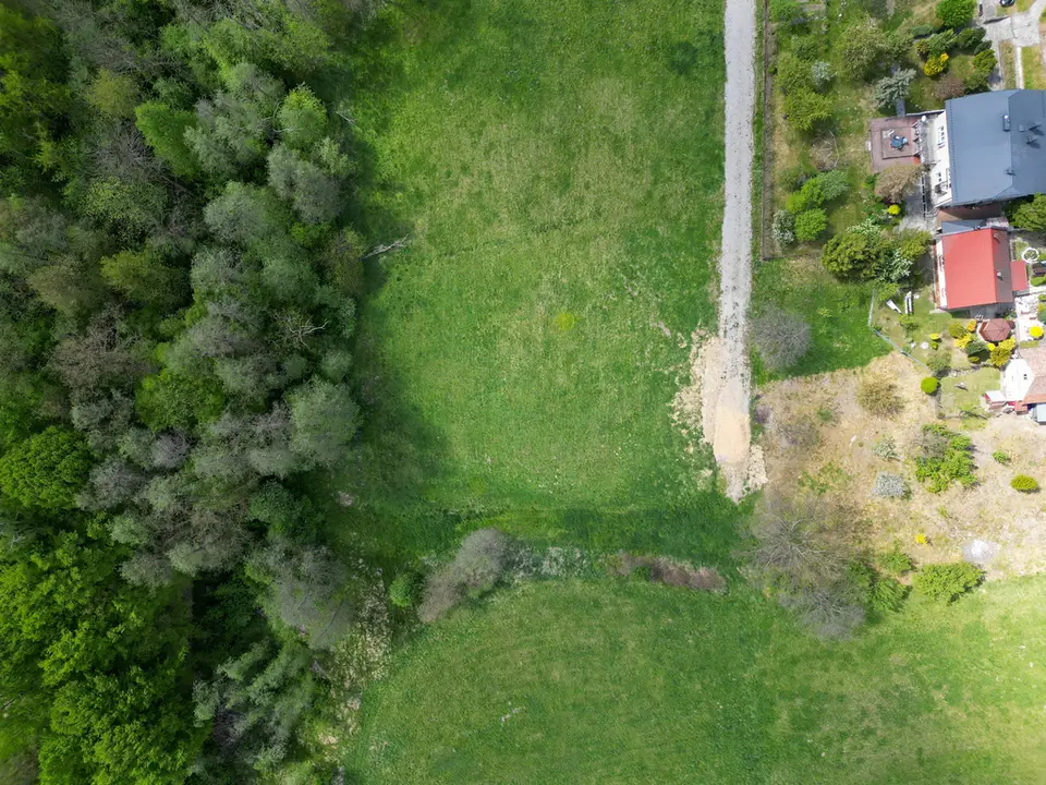 Zdjęcie 16