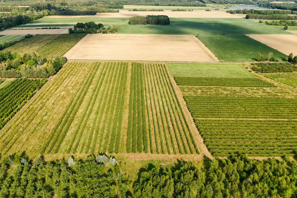 Zdjęcie 11