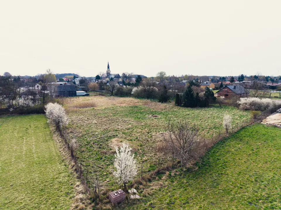 Zdjęcie 3