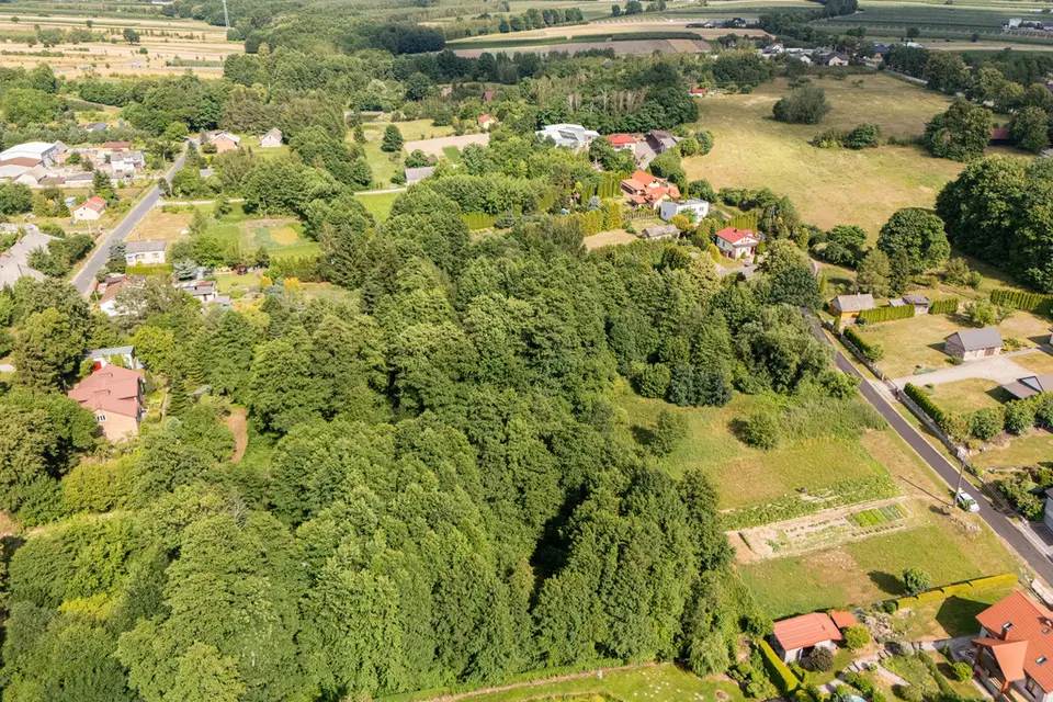 Zdjęcie 9