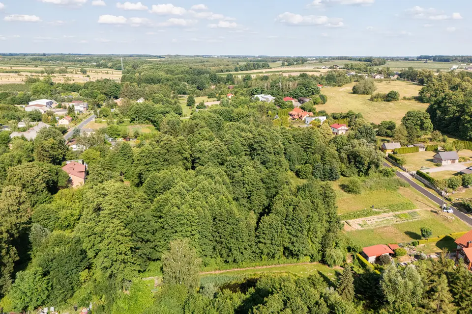 Zdjęcie 10