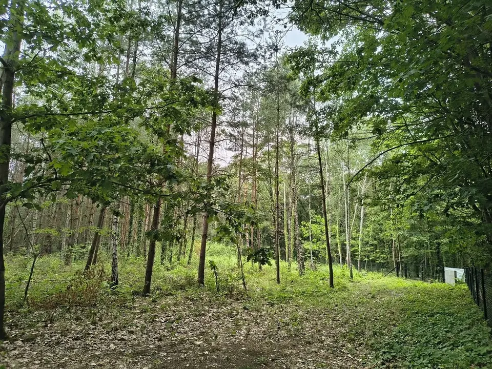 Zdjęcie 3