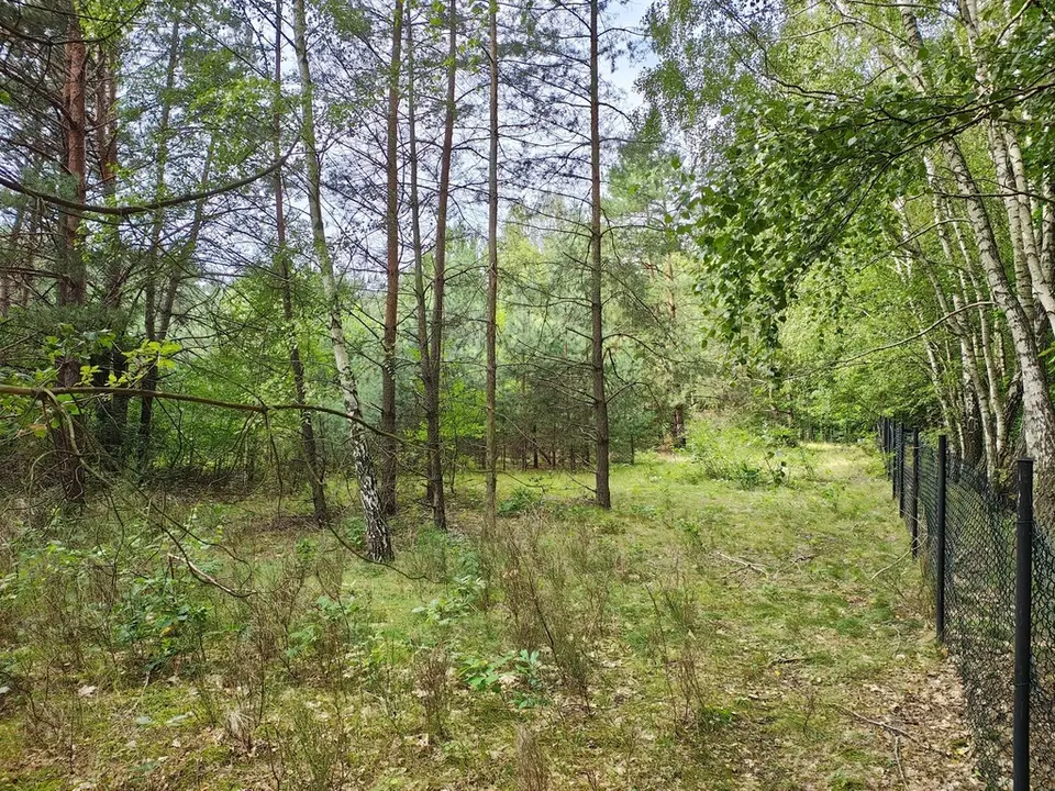 Zdjęcie 5
