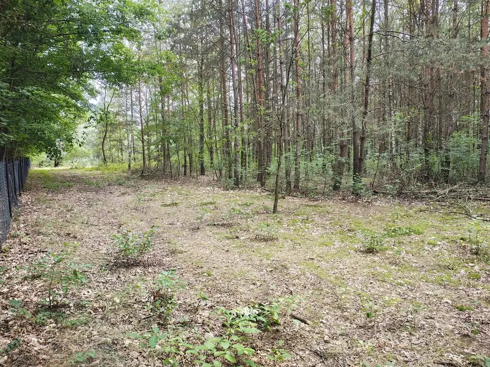 Działka budowlana 2 442 m², Sokolniki-Las