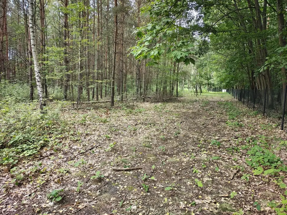 Zdjęcie 4
