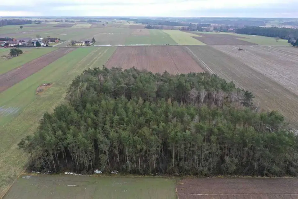 Działka budowlana 3,31 ha, Gutków