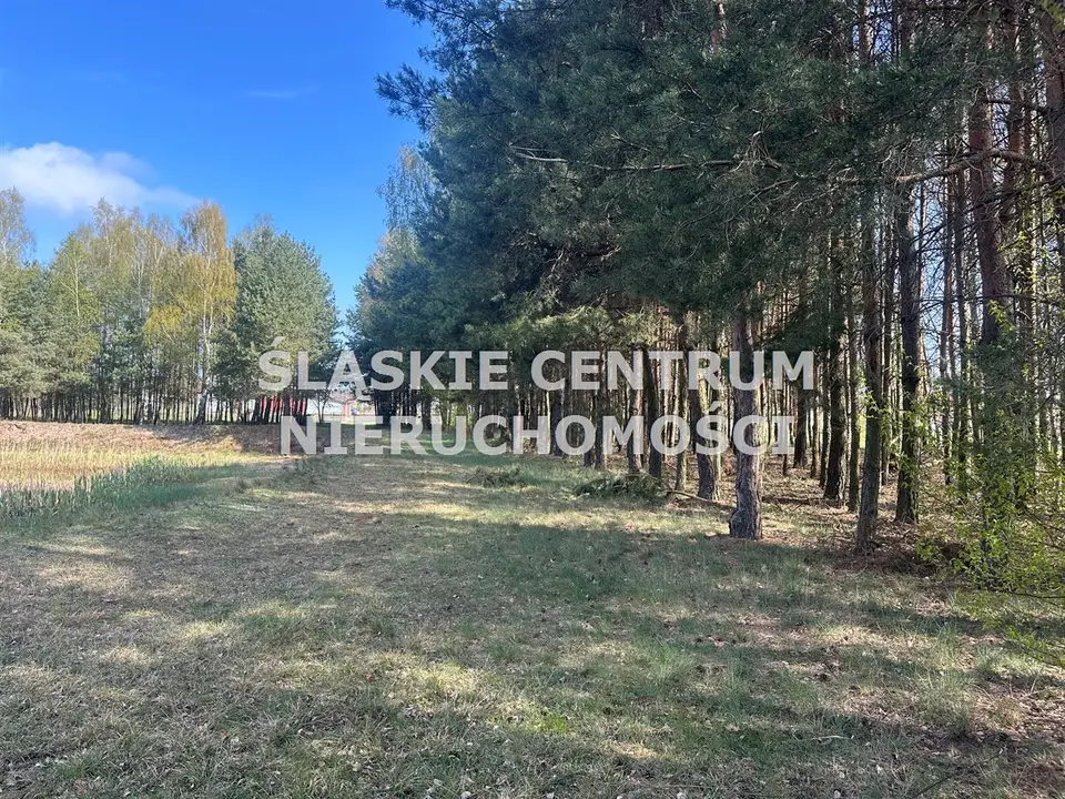Zdjęcie 8