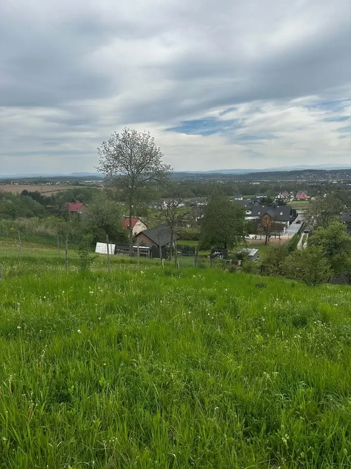 Zdjęcie 10