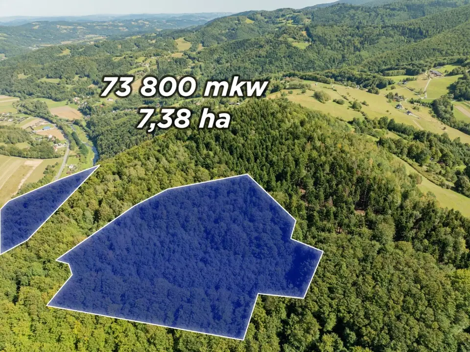 Działka leśna 7,38 ha, Młynne