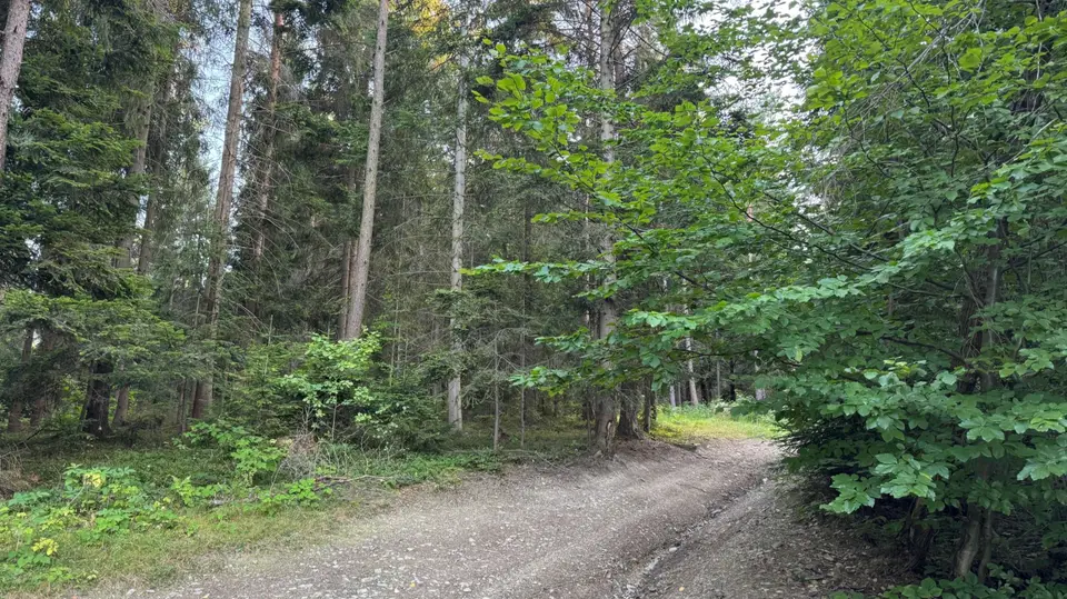 Zdjęcie 18