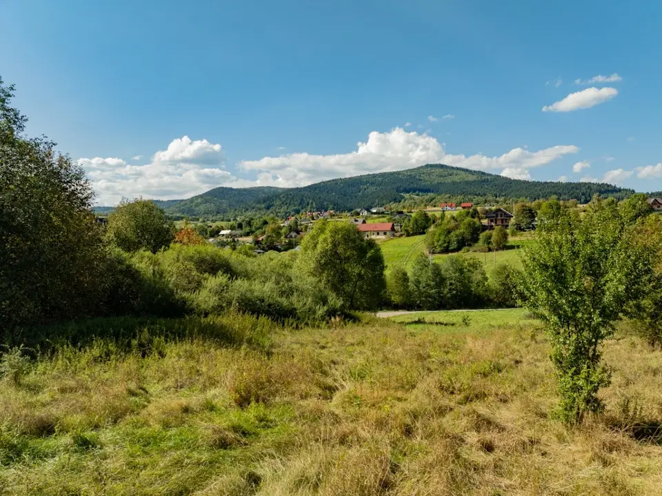 Zdjęcie 16