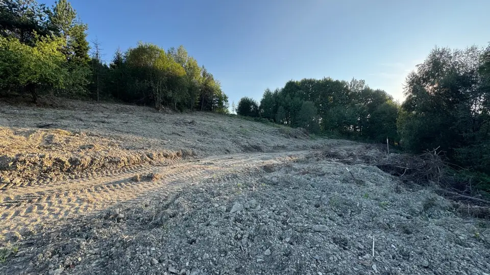 Zdjęcie 10