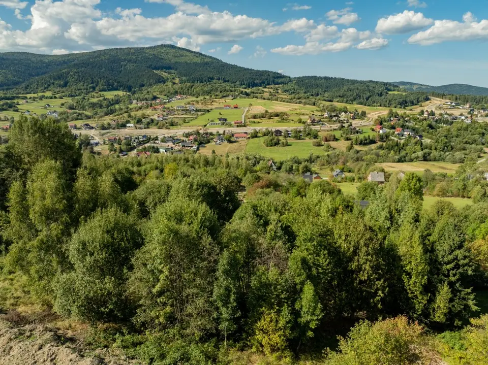 Zdjęcie 15