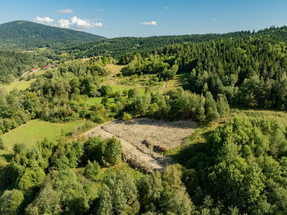 Zdjęcie 23