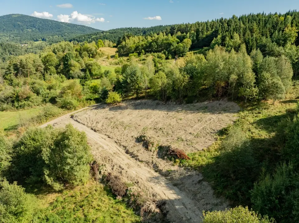 Zdjęcie 24
