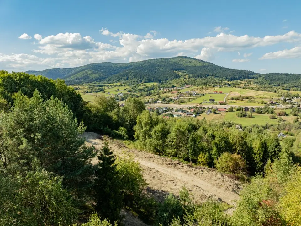 Zdjęcie 29