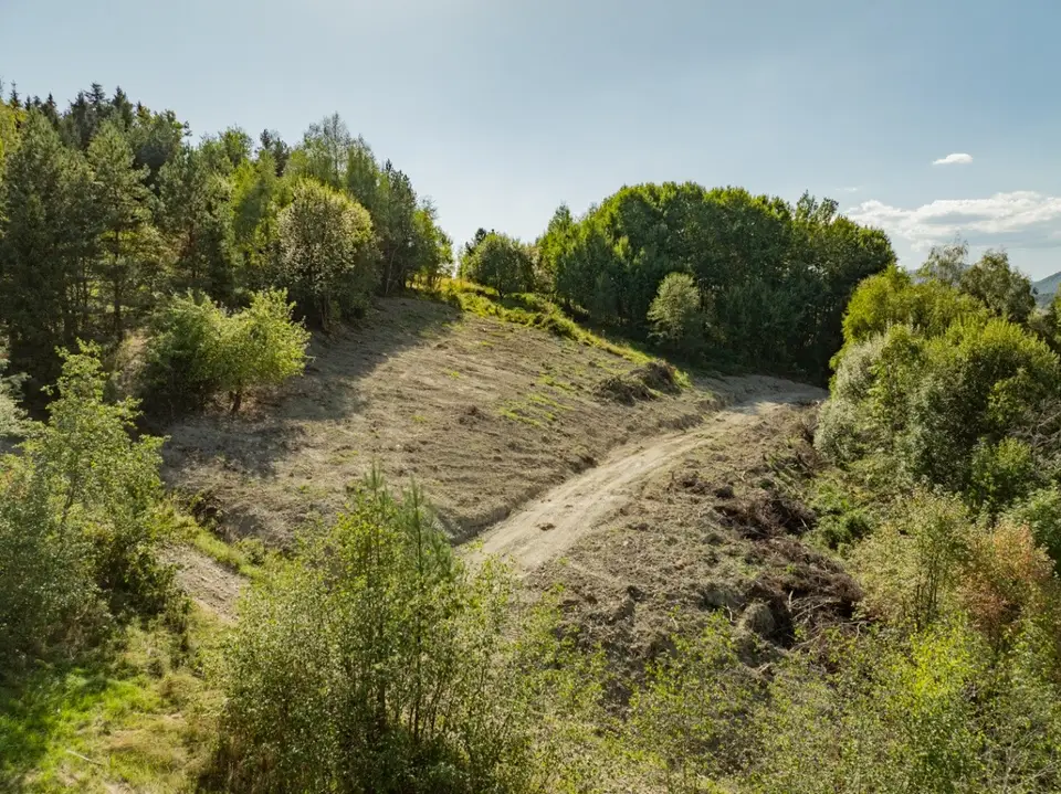 Zdjęcie 31