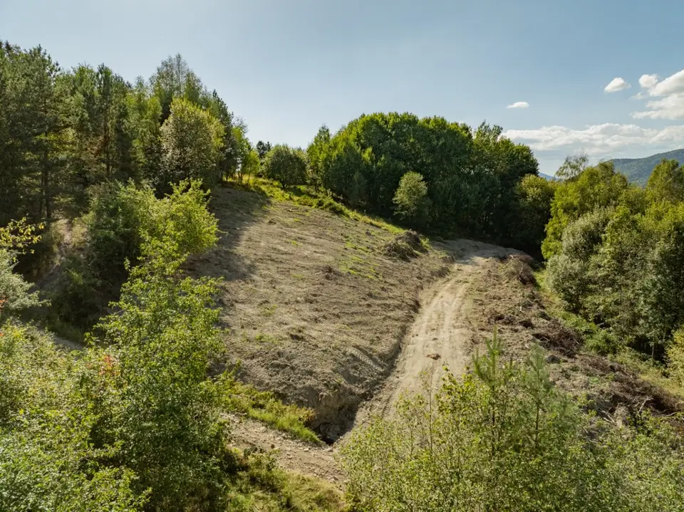 Zdjęcie 32