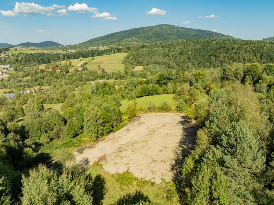 Zdjęcie 34