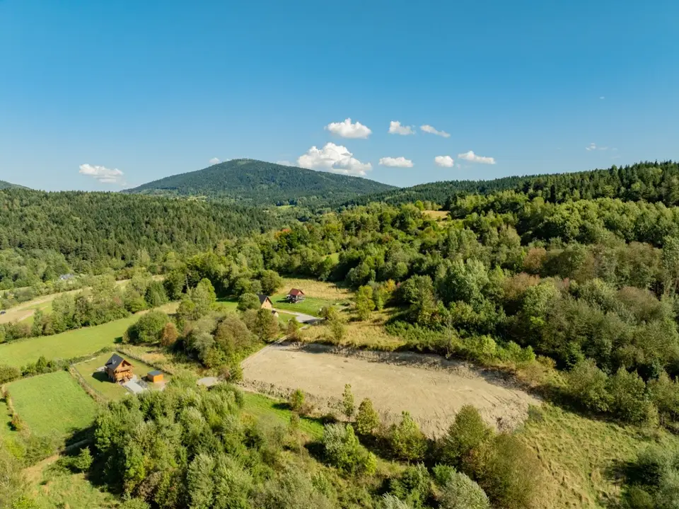 Zdjęcie 12