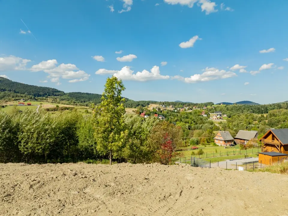 Zdjęcie 24
