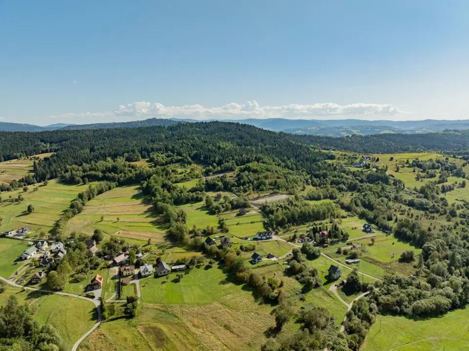 Zdjęcie 30