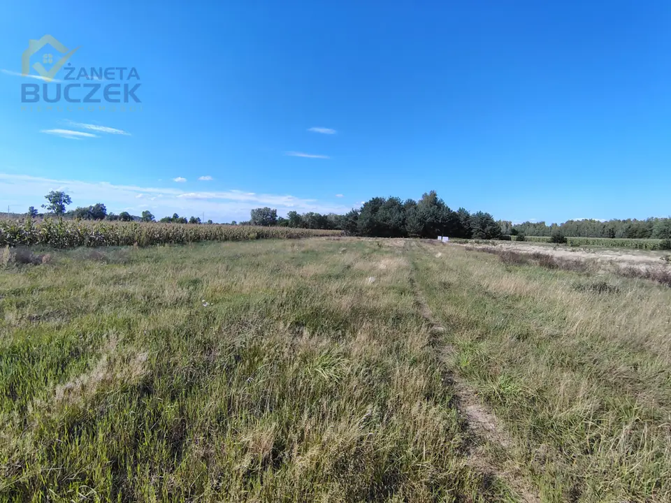 Działka budowlana i inwestycyjna 1 450 m², Dachowa