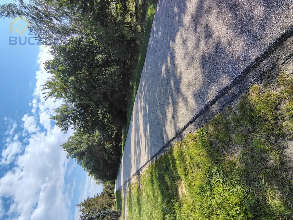 Zdjęcie 6