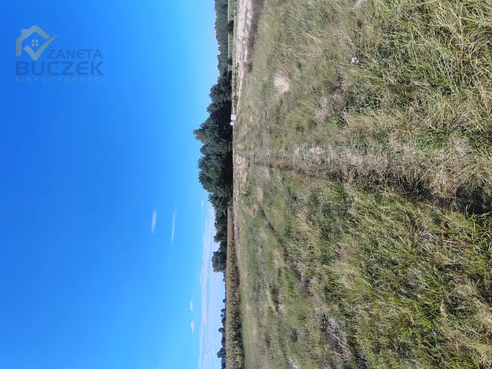 Zdjęcie 7