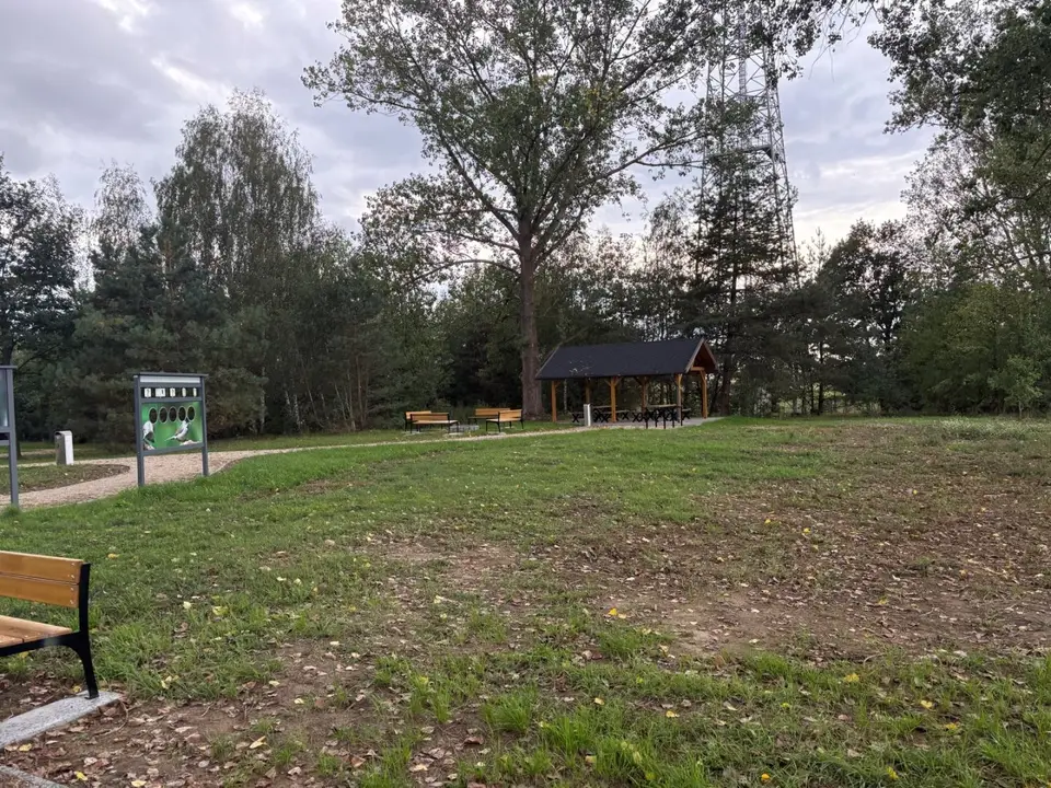 Zdjęcie 10