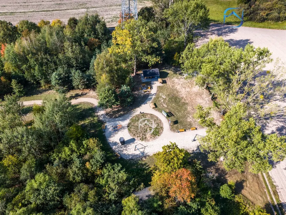 Zdjęcie 19