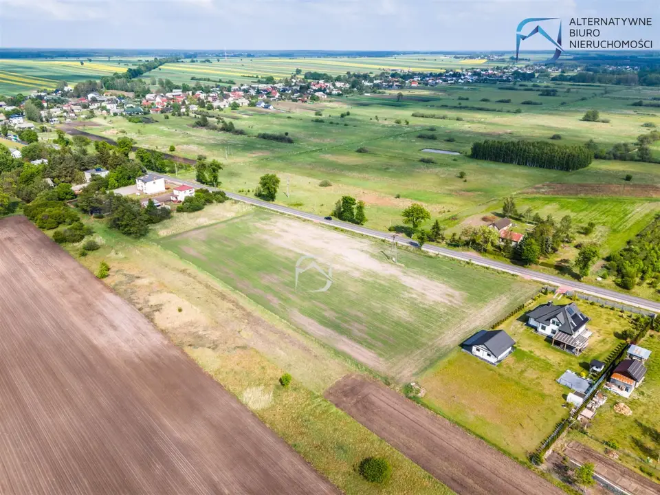 Zdjęcie 12