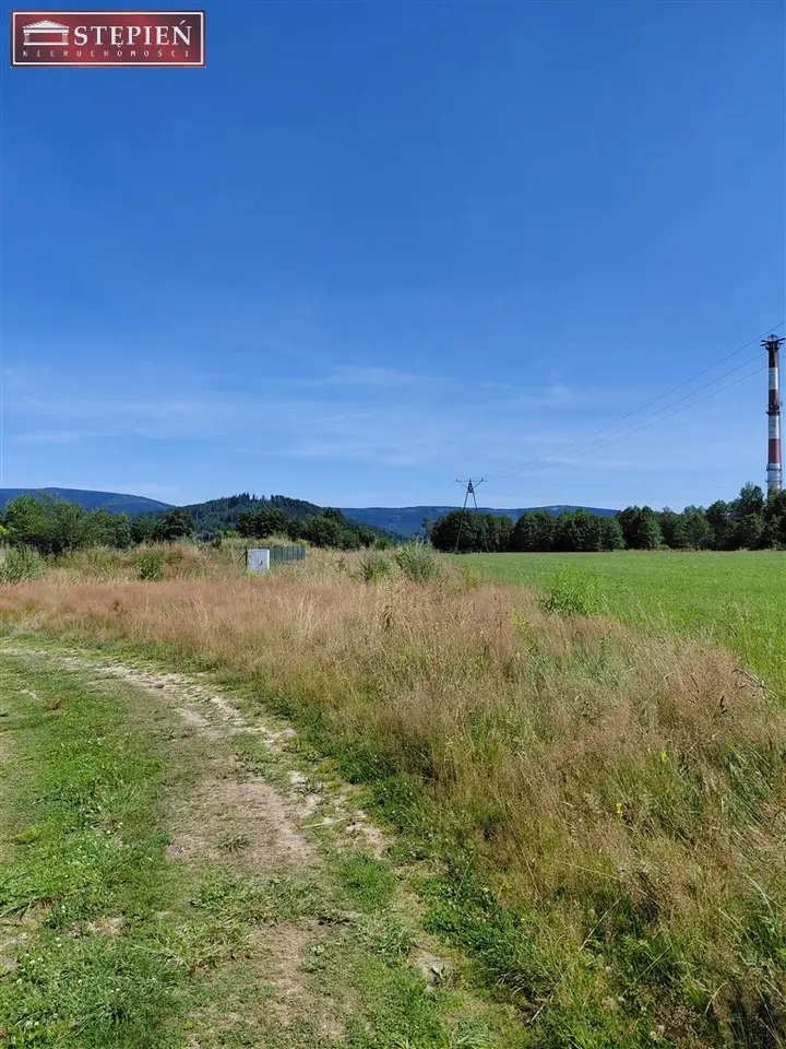 Zdjęcie 12