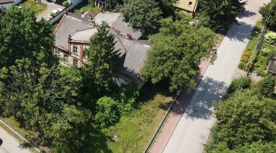 Zdjęcie 10