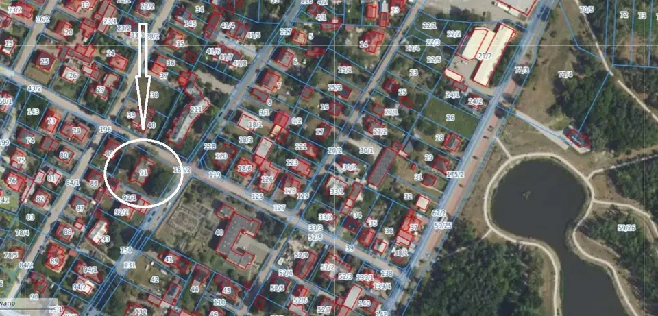Zdjęcie 19